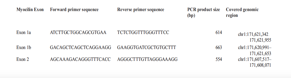 List of PCR Primers for MYOC (Myocilin) Exon Sequencing in a Zambian population