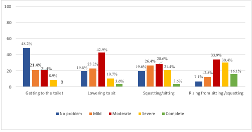 Levels of problems in selected tasks required in the toileting activity  