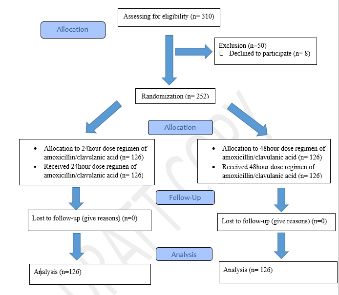 patient flow diagram