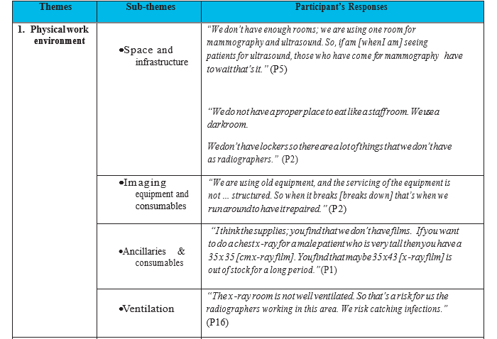 Themes and sub-themes that emerged subsequent thematic analysis