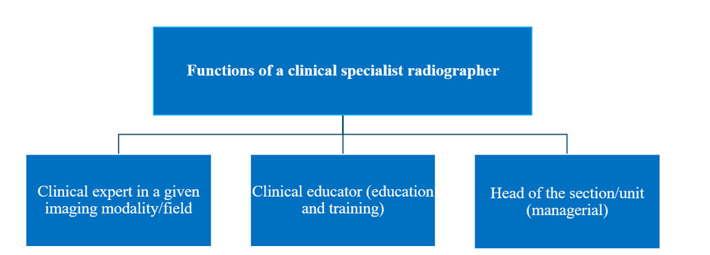 Three functions of a clinical specialist radiographer