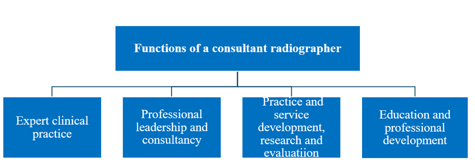 Four functions of a consultant radiographer
