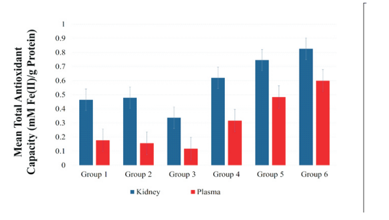 The Total Antioxidant Capacity (mM Fe (II)/g protein) of the kidney and blood (plasma) samples of the different treatment groups