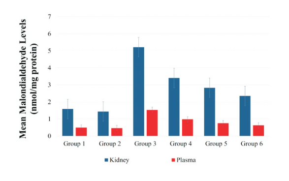 Mean MDA levels of kidney and Plasma samples of treatment groups