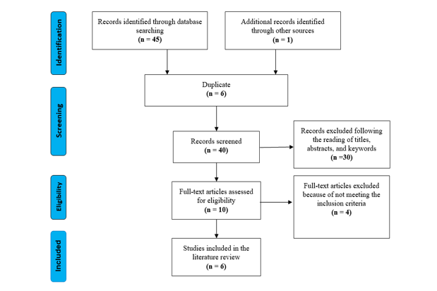 Screening process of studies included in the literature review