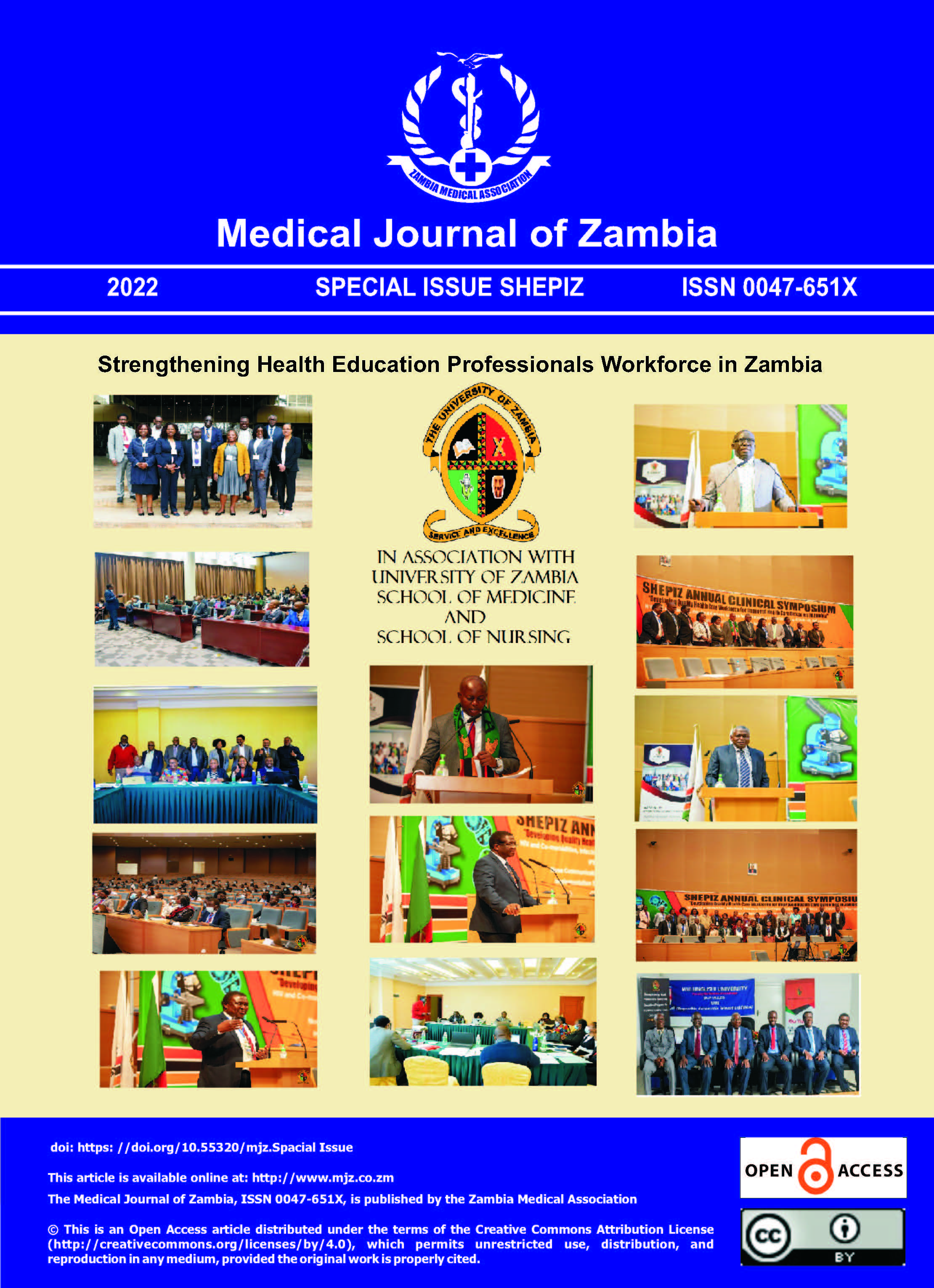 					View 2022: Strengthening Health Professional Workforce Education Programs for Improved Quality Health care in Zambia (SHEPIZ)
				